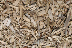 biomass boilers Great Bircham